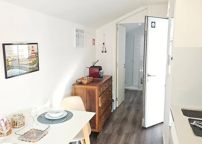 A Proa Do Moliceiro Canal - Aurea Sunny Terrace Apartment Aveiro