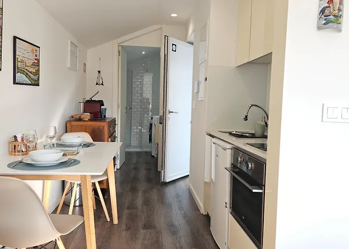 Apartment A Proa Do Moliceiro Canal - Aurea Sunny Terrace Aveiro