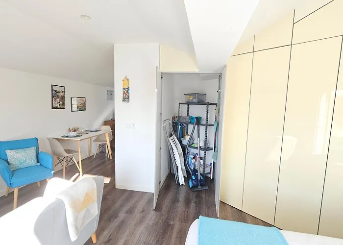 A Proa Do Moliceiro Canal - Aurea Sunny Terrace Apartment