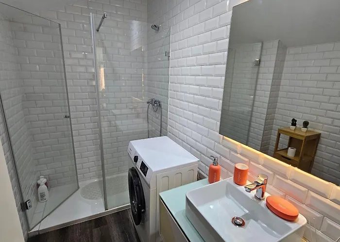 A Proa Do Moliceiro Canal - Aurea Sunny Terrace * Aveiro